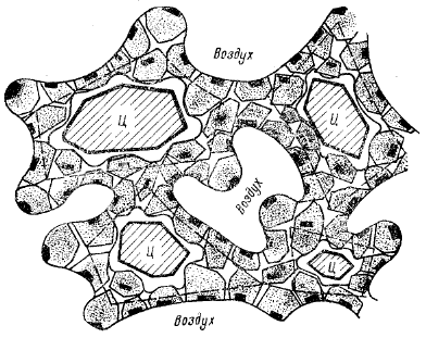 Структура твердеющего цементного камня